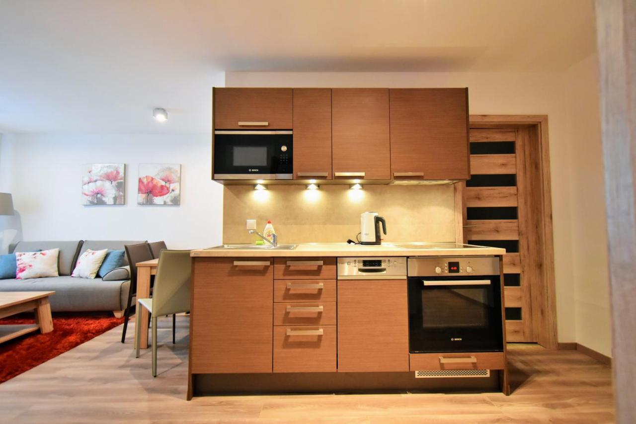 Apartment Dalibor II With Private Entrance And Private Garage Szpindlerowy Młyn Zewnętrze zdjęcie
